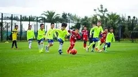 开云体育娱乐app安全 产品 102442 ik2